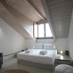 Cibrario Cit Apartment _ Circle